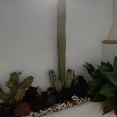 Prázdninový dům Casa Eva Abades (Tenerife)